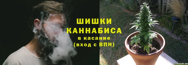 дмт Абаза