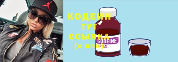дмт Абаза
