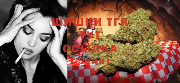 дмт Абаза