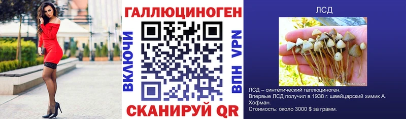 Галлюциногенные грибы Psilocybine cubensis  Мостовской 